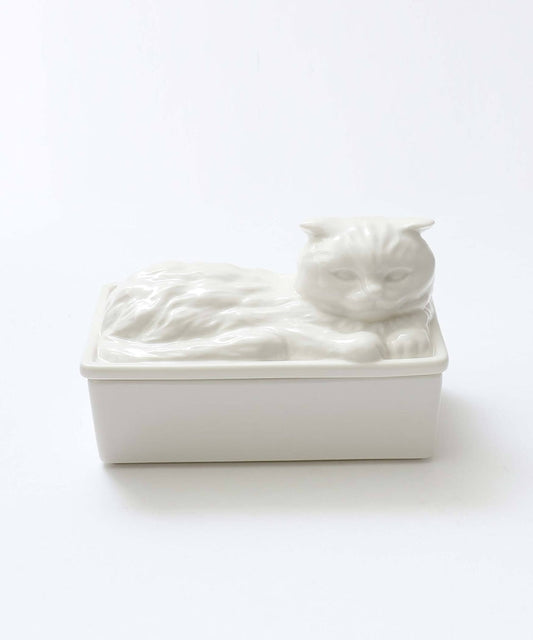 Cat's naptime  butter case