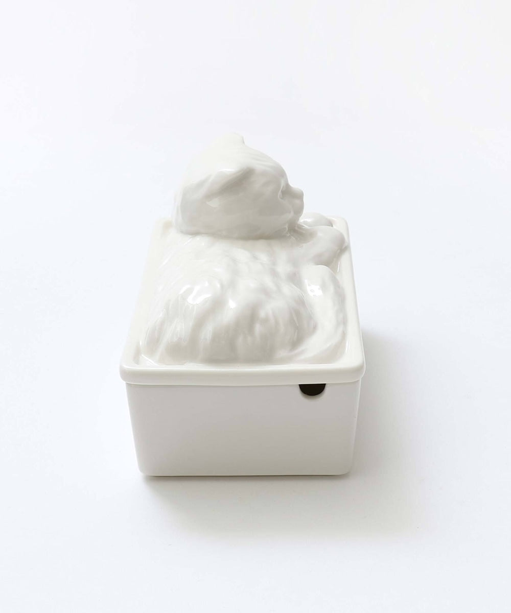 Cat's naptime  butter case