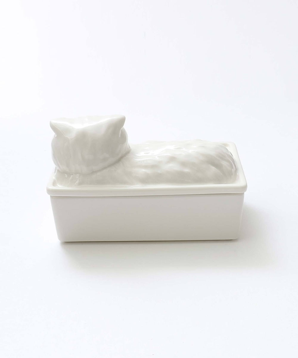 Cat's naptime  butter case