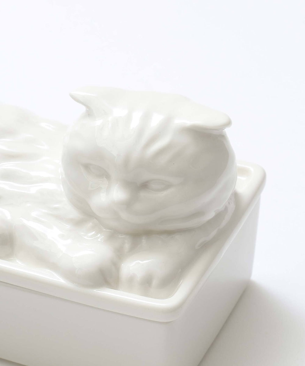 Cat's naptime  butter case