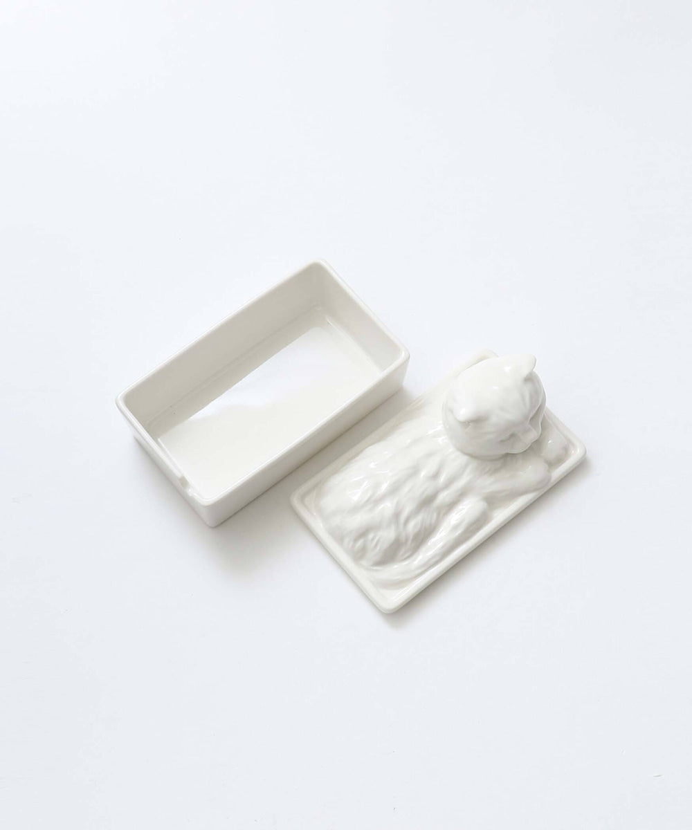 Cat's naptime  butter case